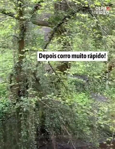 Video by marinho