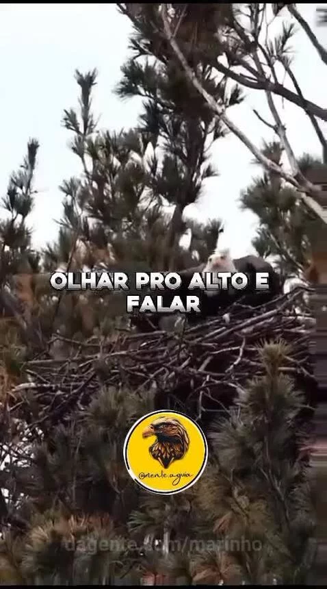 Video by marinho
