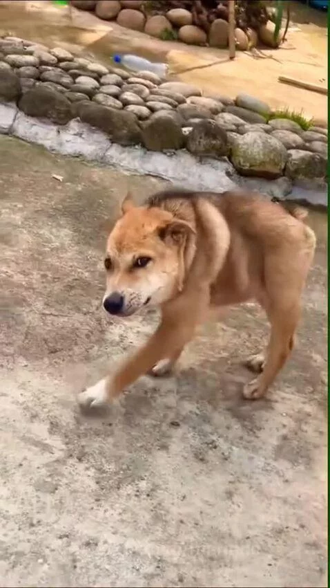 Video by marinho