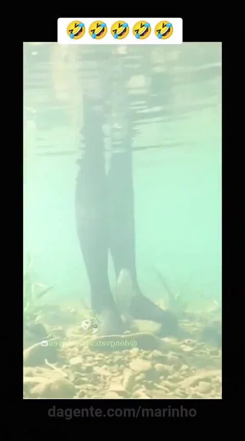 Video by marinho