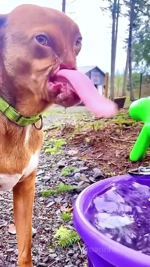 Video by marinho