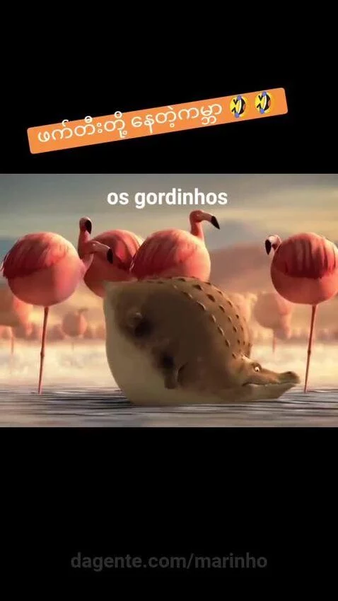 Video by marinho