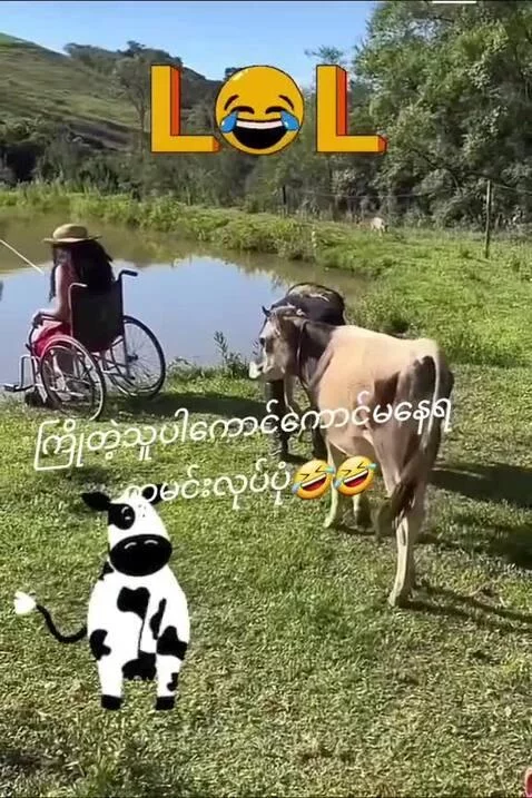 Video by marinho