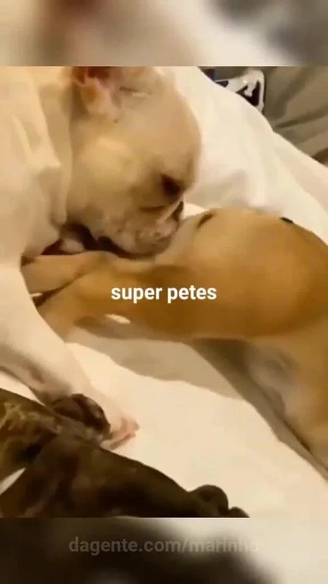 Video by marinho