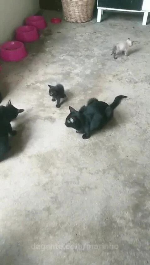 Video by marinho