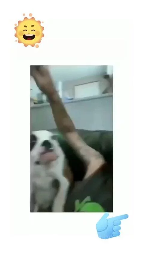 video poster