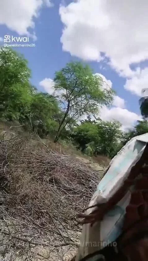 Video by marinho