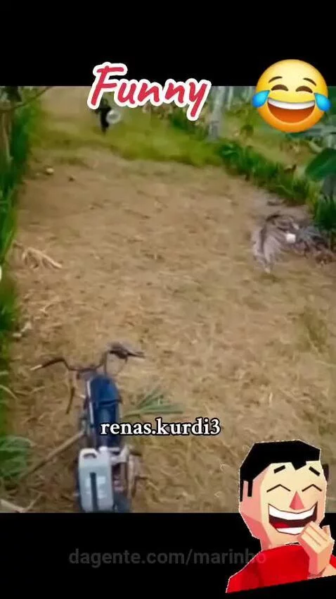 video poster