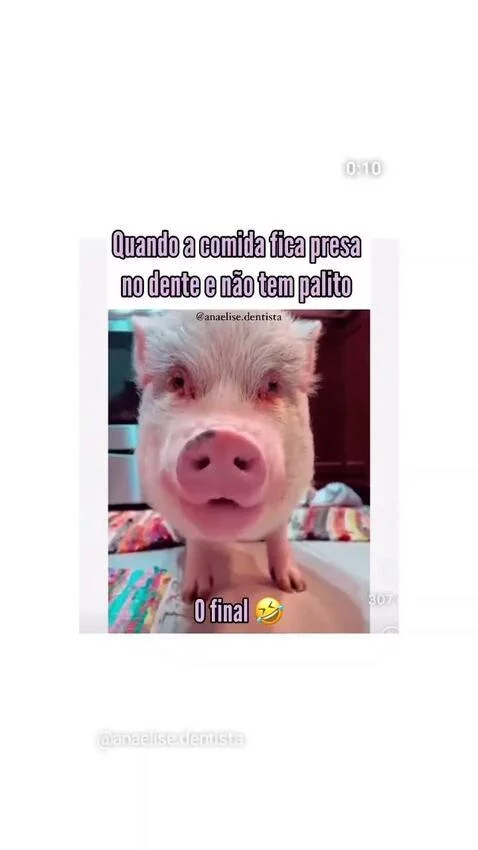 #engracado by receitinhas
