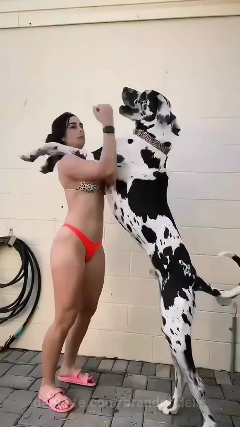 Video by brandofidelis