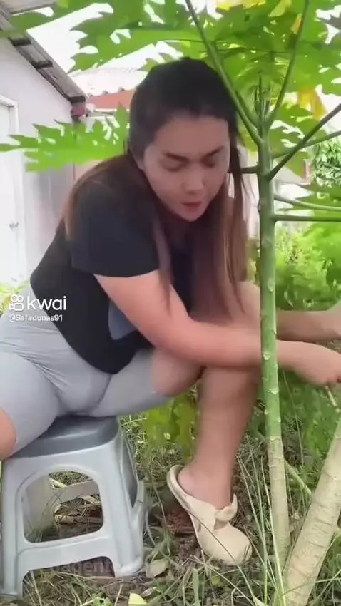 Video by brandofidelis