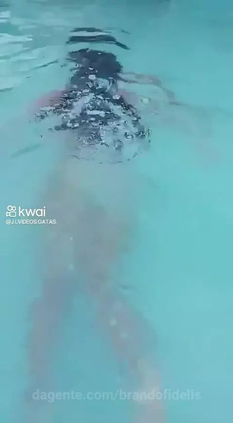 Video by brandofidelis