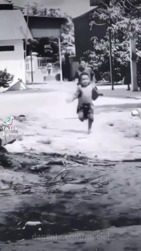 Video by maciel
