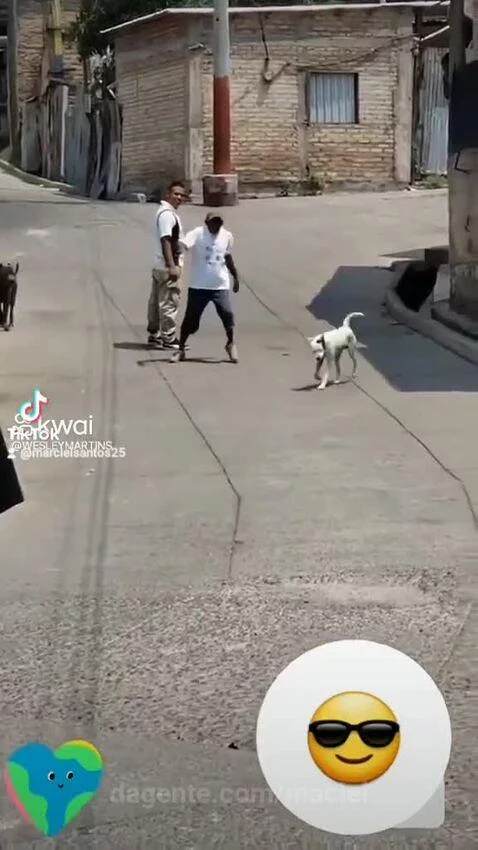 Video by maciel