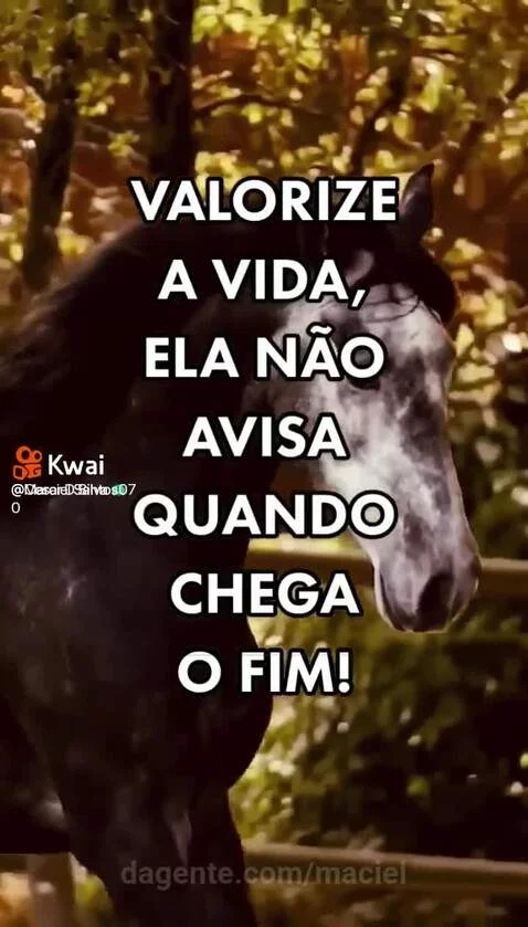 Video by maciel