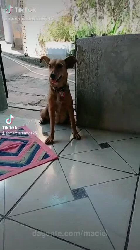 Video by maciel