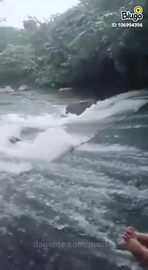 Video by maciel