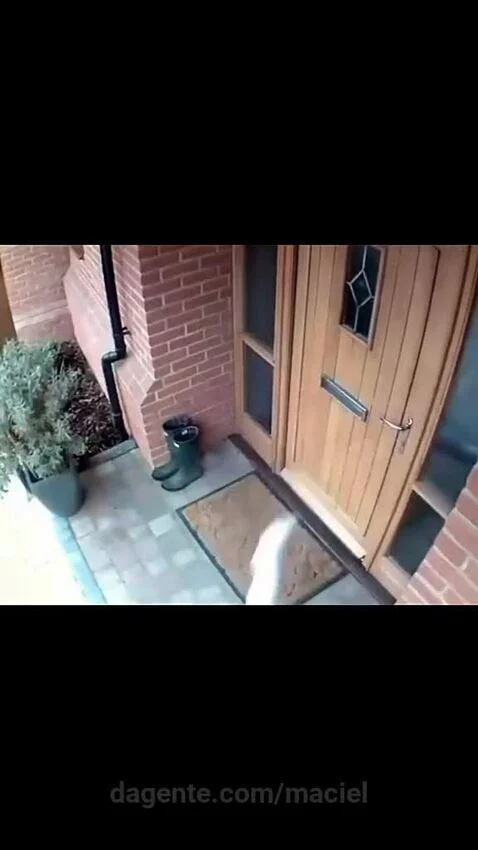 Video by maciel