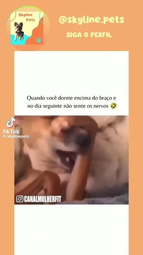 Video by maciel