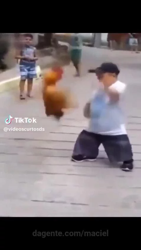 Video by maciel