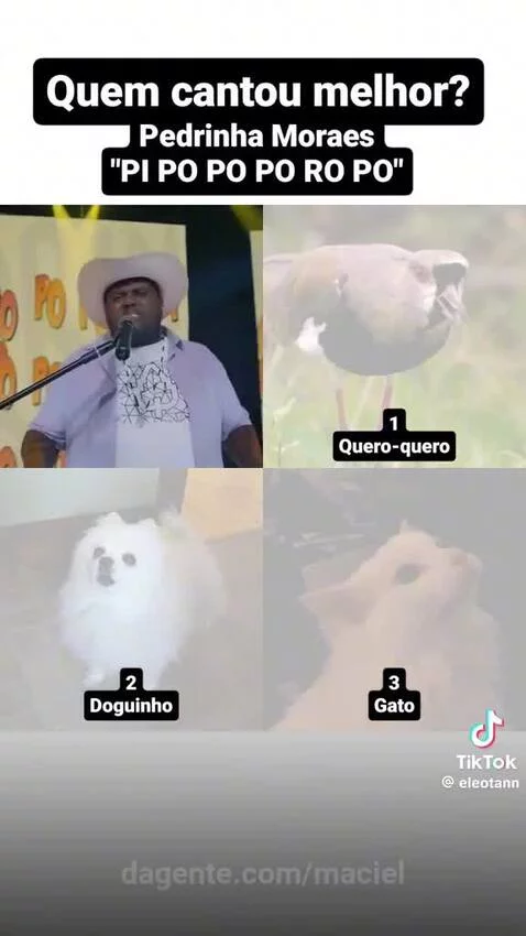Video by maciel