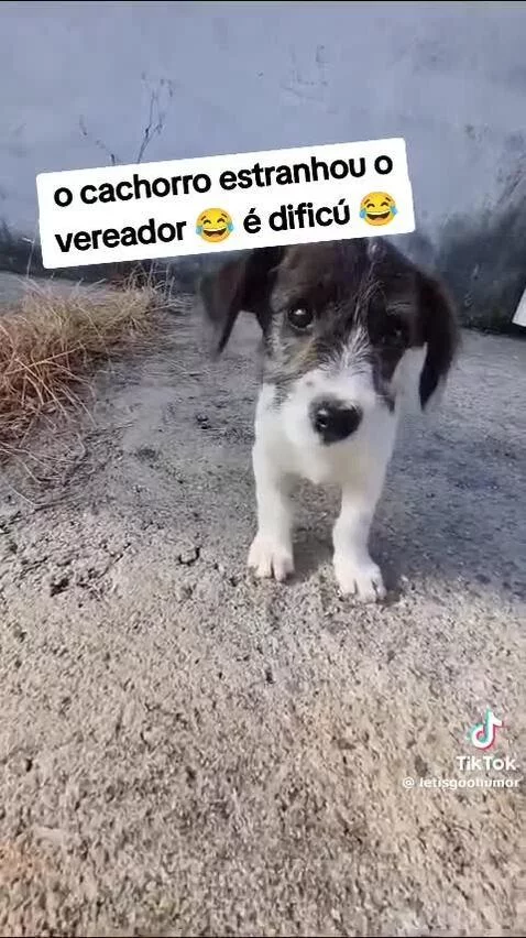 Video by maciel