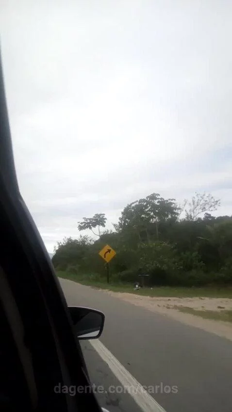 Prévia da publicação de carlos