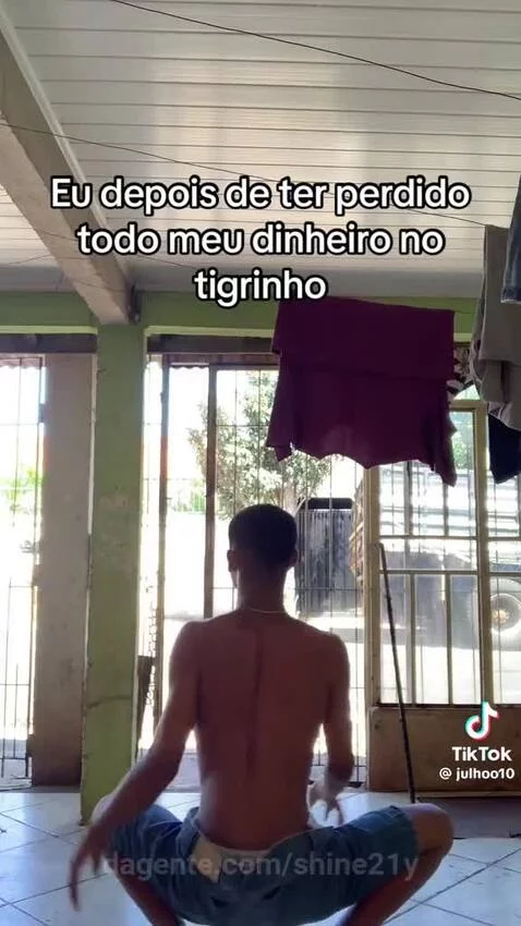 tigrinho, humor by shine21y
