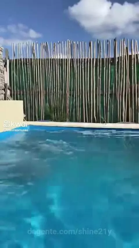 Video by shine21y