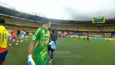 Não precisava disso by vinifrasesestatus