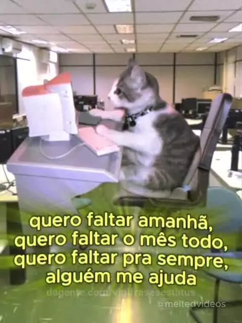 views, viral, view by vinifrasesestatus