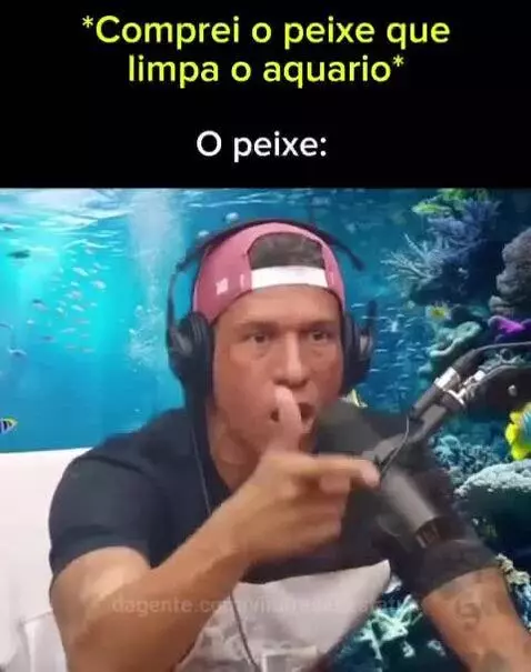 viral, views, view by vinifrasesestatus