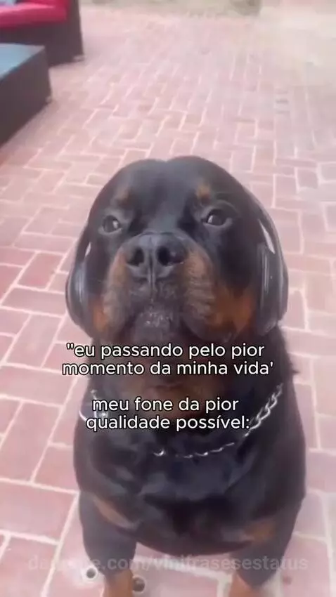 viral, views, view by vinifrasesestatus
