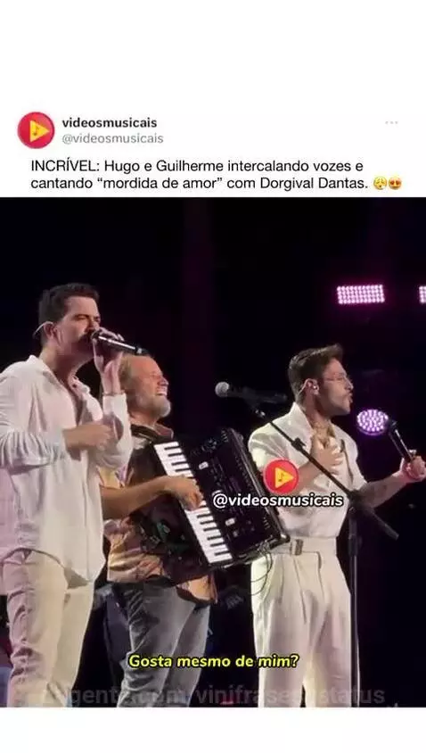 vinifrasesestatus