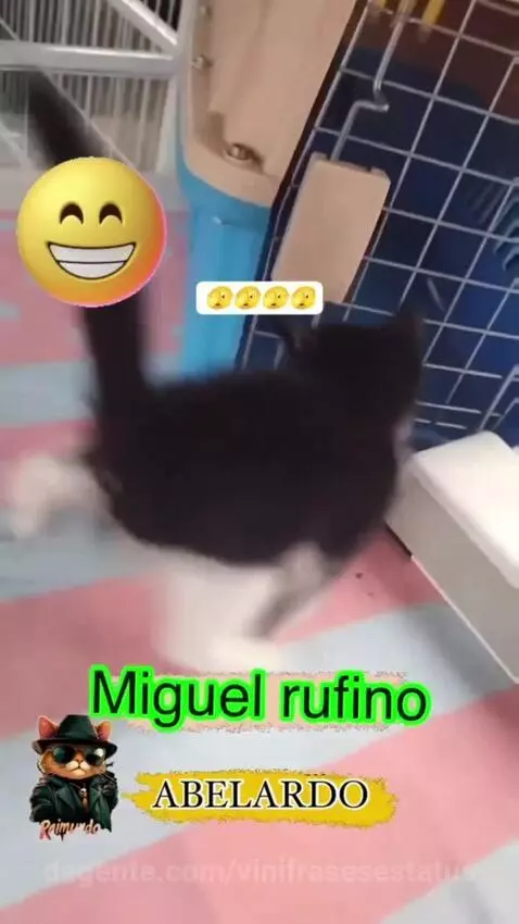 viral, views, view by vinifrasesestatus