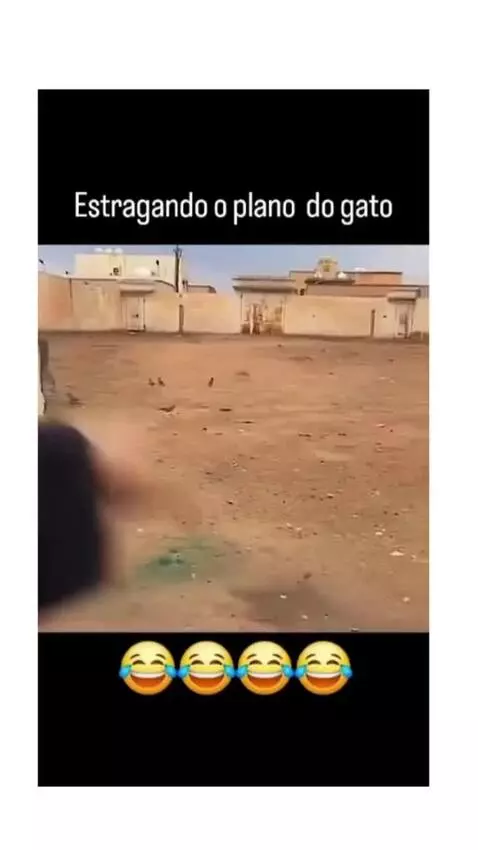 viral, views, view by vinifrasesestatus