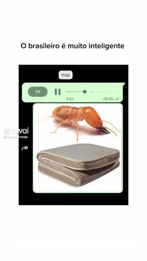 vinifrasesestatus