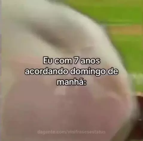 viral, views, view by vinifrasesestatus