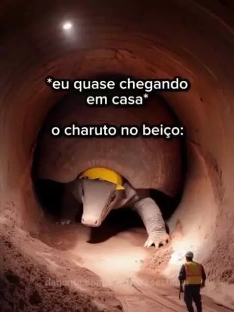 viral, views, meme by vinifrasesestatus