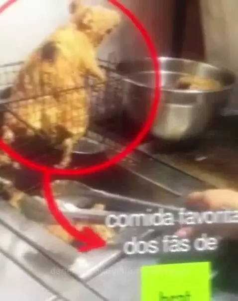 viral, views, memes by vinifrasesestatus