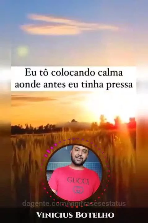 Pressa não resolve nada ... by vinifrasesestatus