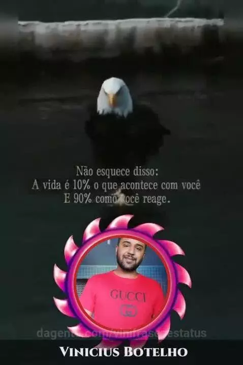 É isso by vinifrasesestatus