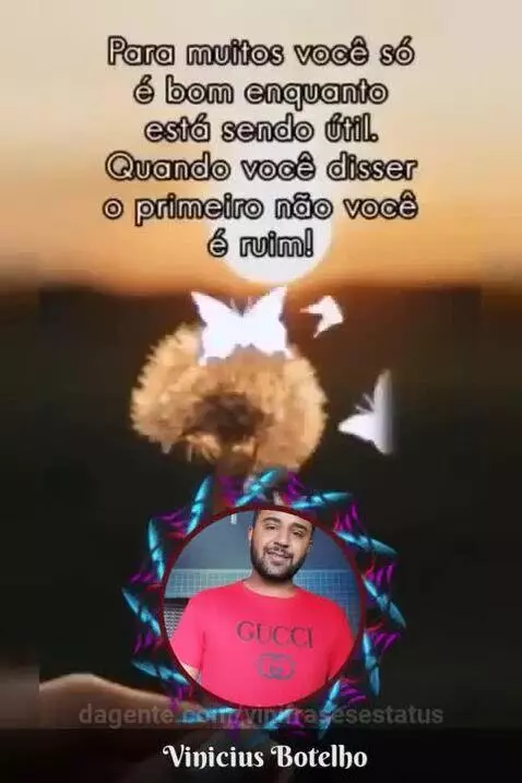 É bem assim mesmo by vinifrasesestatus