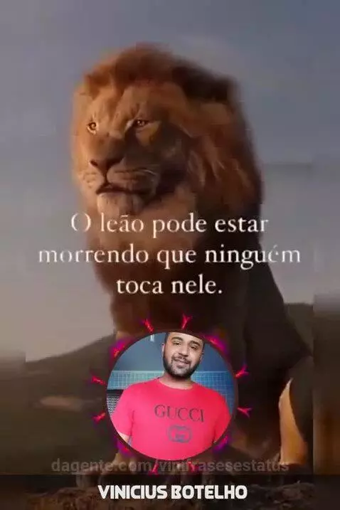 Fica a dica 😉 by vinifrasesestatus