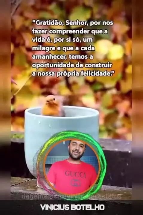 Gratidão sempre 🙏🏽😻❣️ by vinifrasesestatus