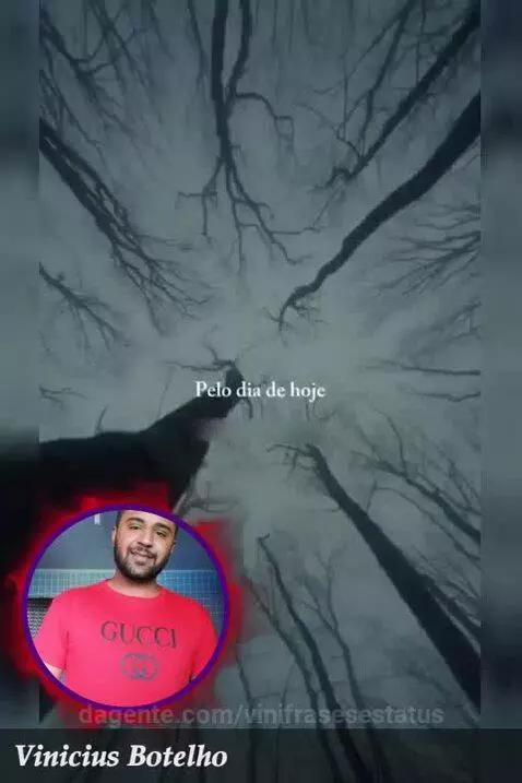 Gratidão senhor hoje e sempre 🙏🏽🙌🏽 by vinifrasesestatus