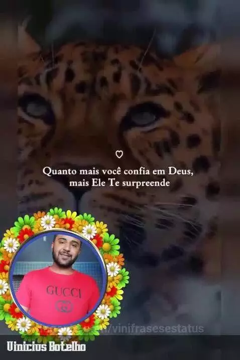 Me ensina senhor a confiar mais e mais em ti 🙏🏽🙌🏽 by vinifrasesestatus