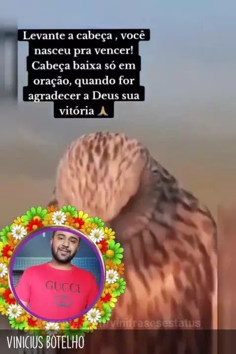 Melhor frase 😍🫶🏽👏🏽🥰 by vinifrasesestatus