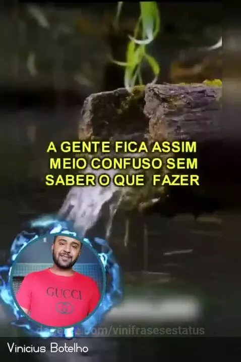 Só li verdades by vinifrasesestatus