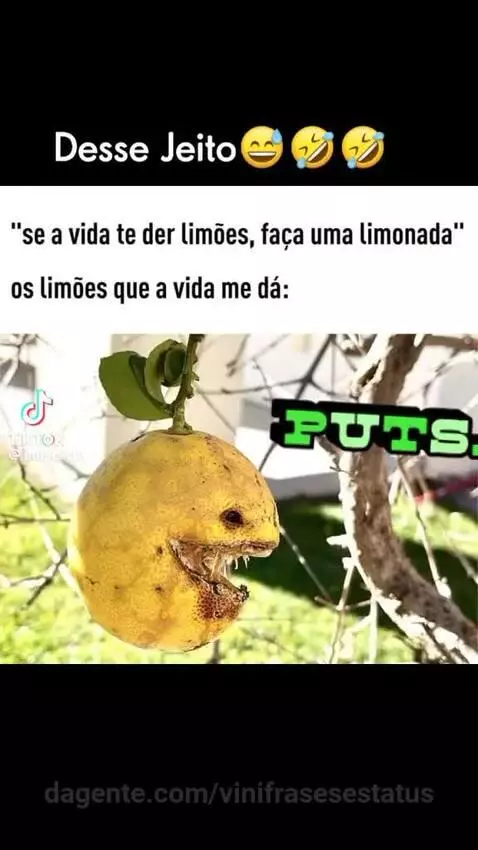 Brincadeira viu 🤣🤣🤣🤭 by vinifrasesestatus